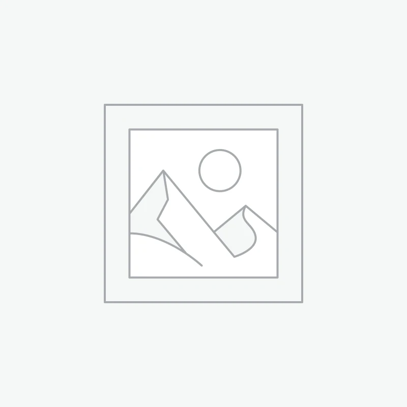 Oasis Orange 24x33cl